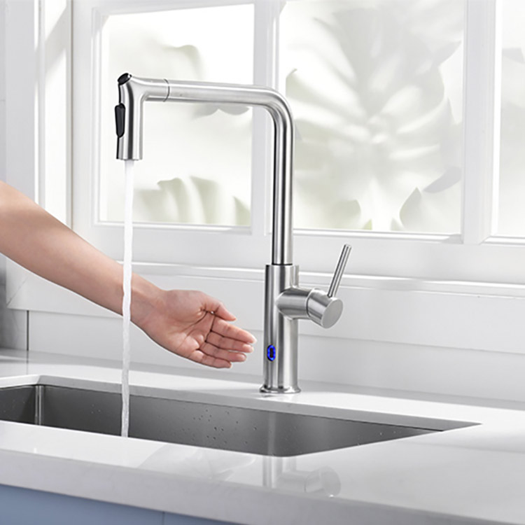 Stainless steel kitchen faucet